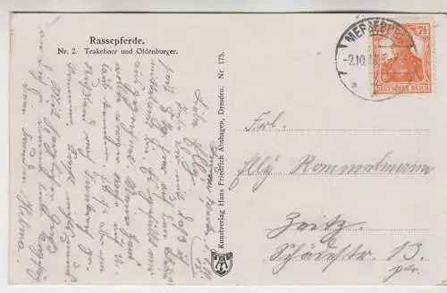 AK Rassepferde. Nr. 2 Trakehner und Oldenburger, ca. 1918, gelaufen