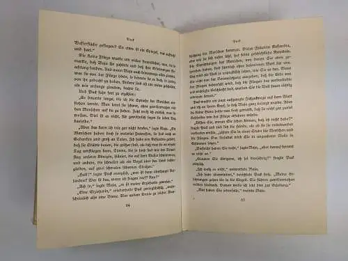 Buch: Die Biene Maja und ihre Abenteuer, Bonsels, Waldemar. 1925, DVA