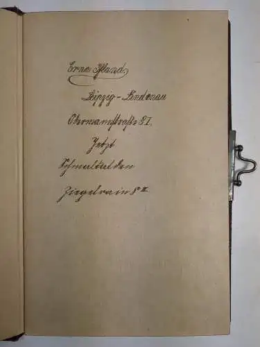 Buch: Poesie. Privates Poesiealbum von Erna Ifland, 1919, Leipzig, Schmalkhalden