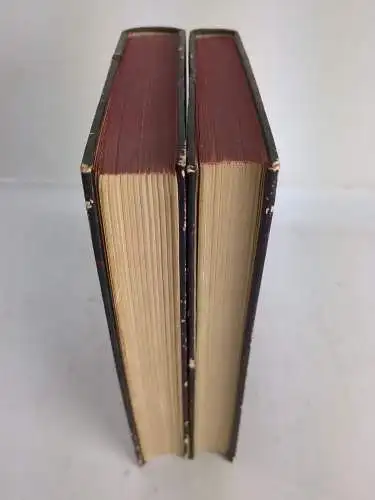 Buch: Auferstehung, L. N. Tolstoj, 2 Bände, Gutenberg Verlag, gebraucht, gut
