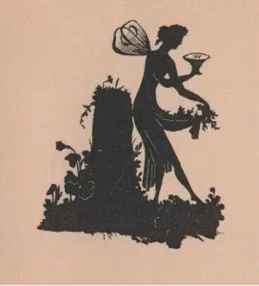 Buch: Das Silhouettenbuch der Adele Schopenhauer, Kroeber, Hans Timotheus. 1913