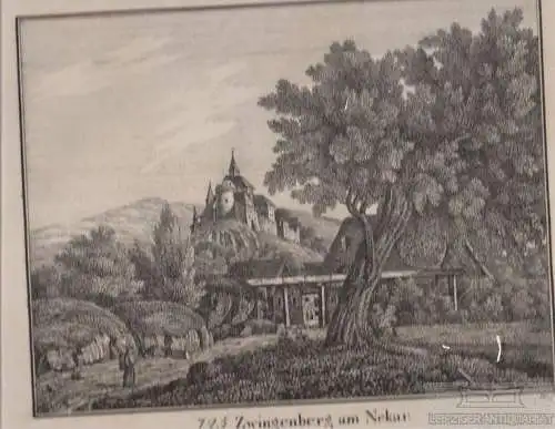 725. Zwingenberg am Nekar. Original-Lithographie. Grafik... Hellfarth (Hrsg.)