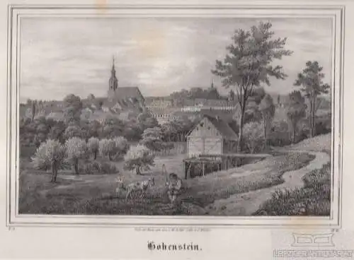 Hohenstein. Original-Lithographie. Grafik mit Passepartout, Müller, C. 1840