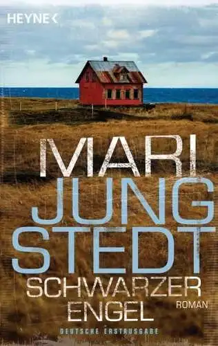 Buch: Schwarzer Engel, Jungstedt, Jungstedt, 2011, Heyne, Roman, gebraucht