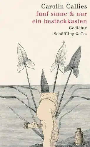 Buch: Fünf Sinne & nur ein Besteckkasten, Callies, Carolin, 2015, Gedichte