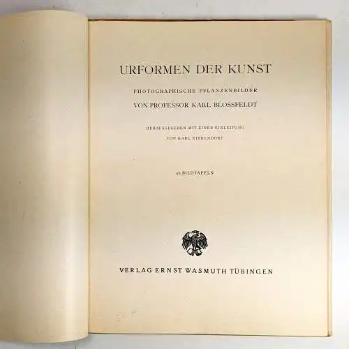 Buch: Urformen der Kunst, Blossfeldt, Karl. 1948, Verlag Ernst Wasmuth