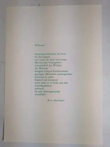 Buch: Es bleibt noch viel zu sagen, Ausländer, Rose. 1977, Verlag Helmut Braun