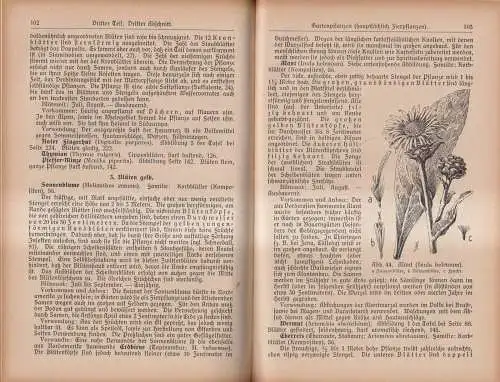 Buch: Heil- und Nutzpflanzen der Heimat, H. Marzell, 1924, Enßlin & Laiblin