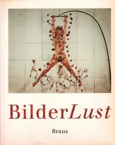 Ausstellungskatalog: Bilder Lust, Domröse, Ulrich u.a. (Hrsg.), 1991
