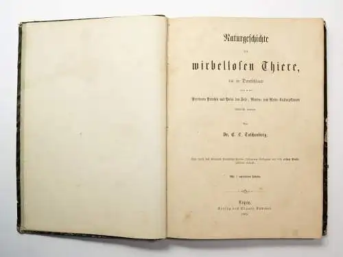 Buch: Naturgeschichte der wirbellosen Thiere, Taschenberg, E. L. 1865