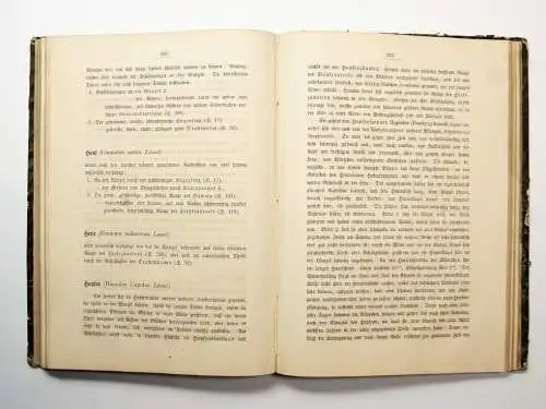 Buch: Naturgeschichte der wirbellosen Thiere, Taschenberg, E. L. 1865