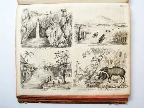 Buch: Malerische Reise um die Welt. Zweiter Band, Dumont d'Urville. 1837