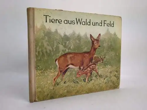 Buch: Tiere aus Wald und Feld, Kraft, Ruth. 1954, Verlag Abel & Müller