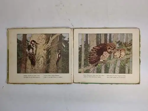 Buch: Tiere aus Wald und Feld, Kraft, Ruth. 1954, Verlag Abel & Müller