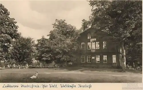 AK Luftkurort Friedrichroda. Thür. Wald. Waldkaffee Tanzbuche. ca... Postkarte