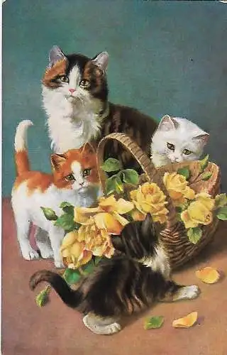 AK Katzen mit Rosen im Körbchen, ca. 1979, gebraucht, gut