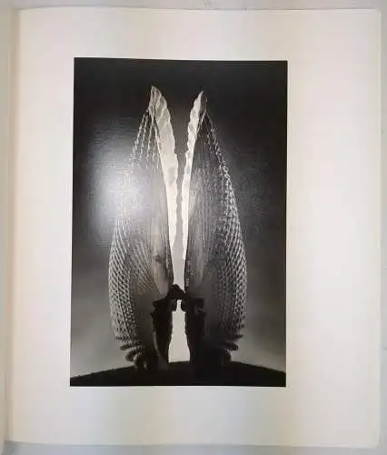 Buch: Ruth Bernhard - The Collection of Ginny Williams, 1993, gebraucht, gut