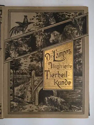 Buch: Dr. Lampe's Illustrierte Tierheilkunde (Werbeexemplar), Schwarz/Seyffert