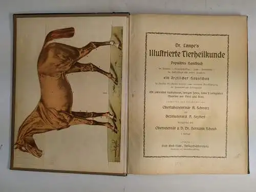 Buch: Dr. Lampe's Illustrierte Tierheilkunde (Werbeexemplar), Schwarz/Seyffert