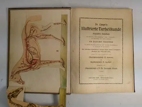 Buch: Dr. Lampe's Illustrierte Tierheilkunde (Werbeexemplar), Schwarz/Seyffert