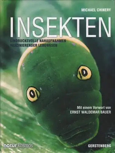 Buch: Insekten, Chinery, Michael, 2008, Gerstenberg Verlag, gebraucht, sehr gut