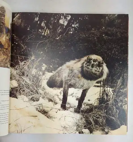 Buch: Historia artificial - El cor i les tenebres, Joan Fontcuberta, 1992