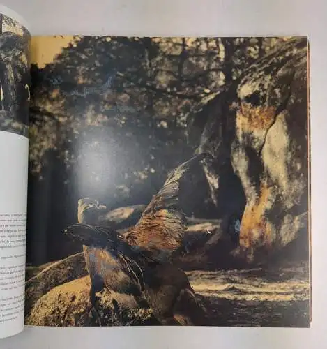 Buch: Historia artificial - El cor i les tenebres, Joan Fontcuberta, 1992