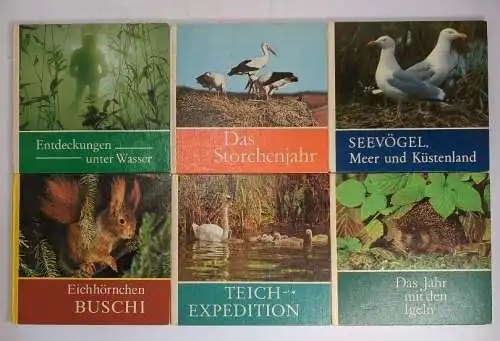 6 Bücher Rudolf Arnold Verlag, Natur, Tiere, Eichhörnchen Buschi, Meer ...