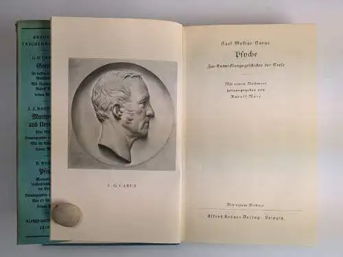 Buch: Psyche, Zur Entwicklungsgeschichte der Seele, Carus, Alfred Kröner Verlag