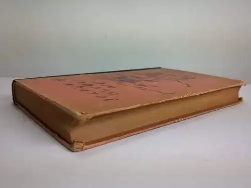 Buch: Die schöne Bücherei 1918, Tiedemann & Uzielli, 1917, gebraucht, gut