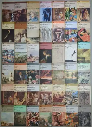 80 Bücher TdW Taschenbibliothek der Weltliter, Volk & Welt, Mann, Hesse, Zweig..