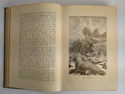 Buch: Der Kampf um den Nordpol, Richard Andree, 1889, Velhagen & Klasing