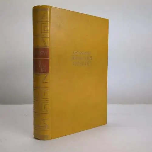 Buch: Der Amateur-Sozialist, Roman, 1929, Martin Maschler Verlag, gebraucht, gut