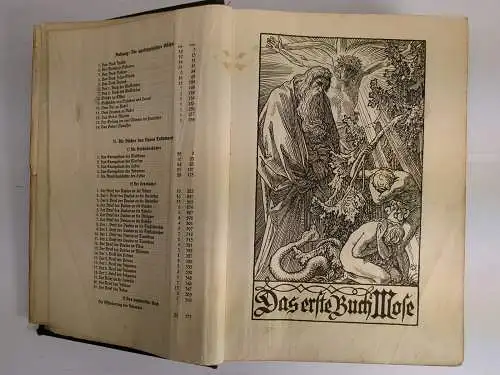 Biblia: Die Bibel oder die ganze Heilige Schrift mit Bildern von Rudolf Schäfer