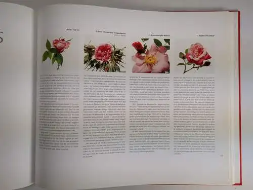 Buch: Alte Rosen, Rosenportraits von J. Westrich & F. Joyaux, 2009, Fackelträger