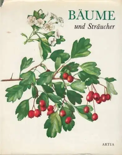 Buch: Bäume und Sträucher, Pokorny, J. 1967, Artia Verlag, gebraucht, gut