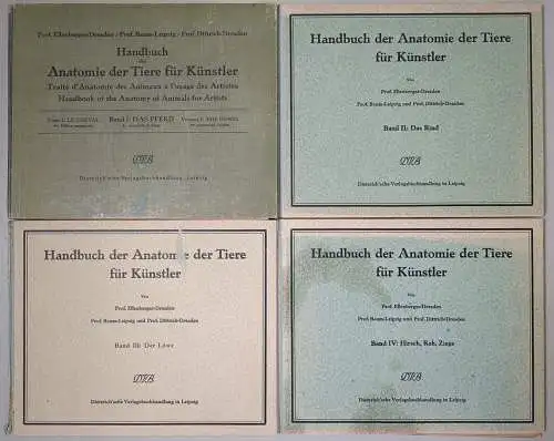 4 Mappen Handbuch der Anatomie der Tiere für Künstler I-IV Pferd, Rind, Löwe,Reh