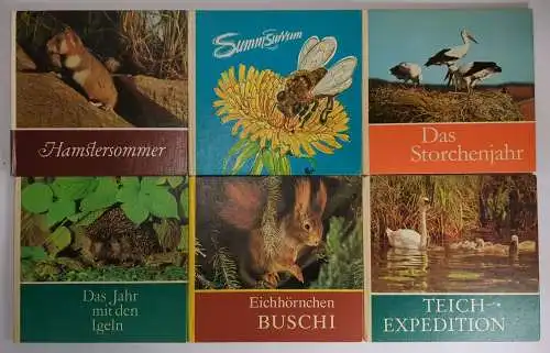 6 Bücher Rudolf Arnold Verlag, Buschi, Summsurrum, Hamstersommer, Igel, Storch..