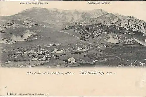 AK Schneeberg. Ochsenboden mit Damböckhaus ca. 1914, gebraucht, gut