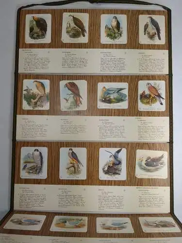 Unsere Vogelwelt 1-3 (vollständig), Vogel-Erkennungstafeln nach John Gould