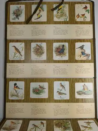 Unsere Vogelwelt 1-3 (vollständig), Vogel-Erkennungstafeln nach John Gould