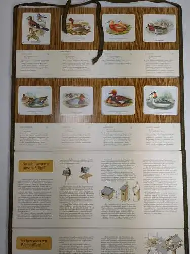 Unsere Vogelwelt 1-3 (vollständig), Vogel-Erkennungstafeln nach John Gould
