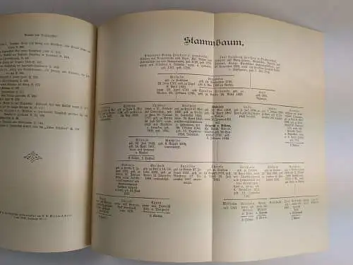 Buch: Gabriele von Bülow (geborene v. Humboldt), 1911, E. S. Mittler & Sohn