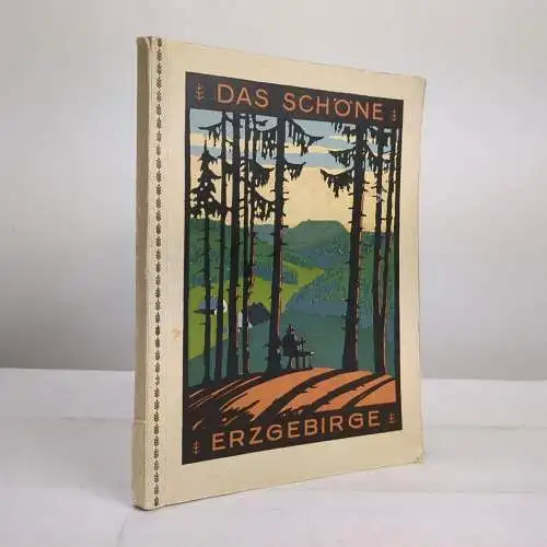 Buch: Das schöne Erzgebirge im Sommer und Winter, 1929, Erzgebirgsverein