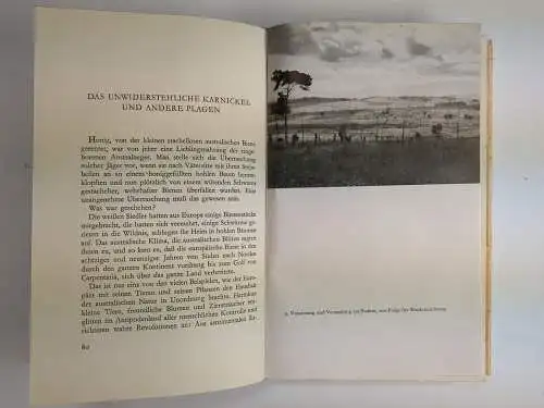 Buch: Australien, Hauser, Heinrich. 1939, Büchergilde Gutenberg, gebraucht, gut