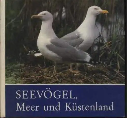 Buch: Seevögel, Meer und Küstenland, Schönert, Claus. 1989, Rudolf Arnold Verlag