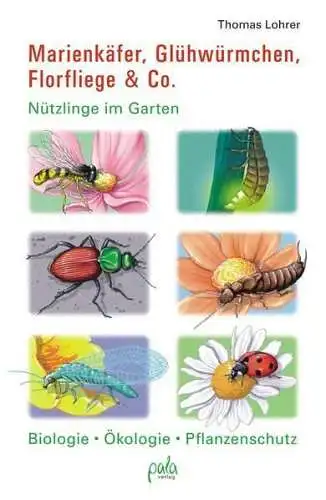 Buch: Marienkäfer, Glühwürmchen, Florfliege & Co., Lohrer, Thomas, 2010