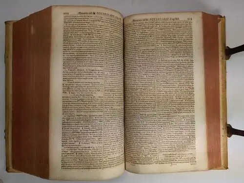 Buch: Biblia Critica, Tomus 2, 1695, Johann Philipp & Johann Nicolai Andrae