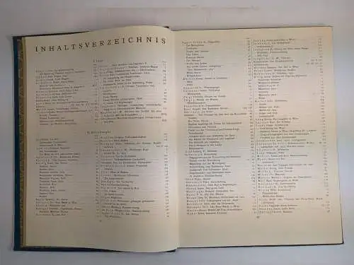 Buch: Die Bildenden Künste - III. Jahrgang 1920, Tietze, Hans (Red.), A. Schroll