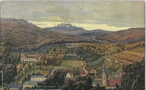 AK Die Rhön. Stadt Brückenau. ca. 1915, gebraucht, gut